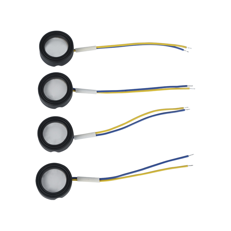 25 mm 1,7 mhz Ultradźwiękowa atomizacja wysokiej częstotliwości Kąpiel do stóp Wigwam Chmura Mgła Kształtowanie krajobrazu Duża ilość atomizacji Piezoelektryczny przetwornik ceramiczny Atomizer oscylacyjny Wysoka moc 220v36w