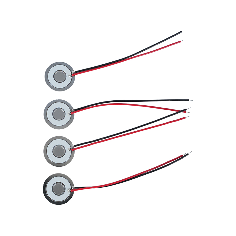 Φ20 Częstotliwość dysku atomizującego 111 kHz 304 Mikrosiatka ze stali nierdzewnej Siatka dysku atomizującego Arkusz atomizujący Klimatyzator Agregat chłodniczy Lodówka Świeża siatka nawilżająca Atomizujący arkusz dyspergujący Szybkość atomizacji> 800 ml/h